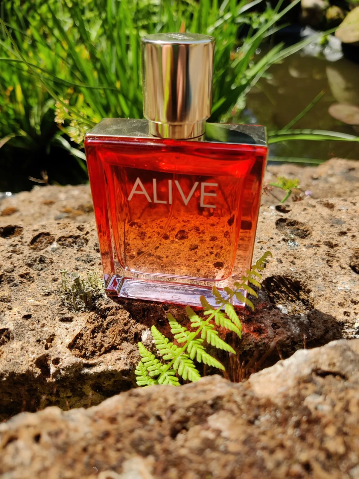 BOSS Alive Intense Eau de Parfum - review image