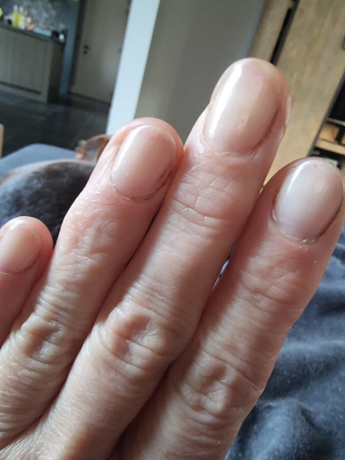 Gel setter topcoat - review image