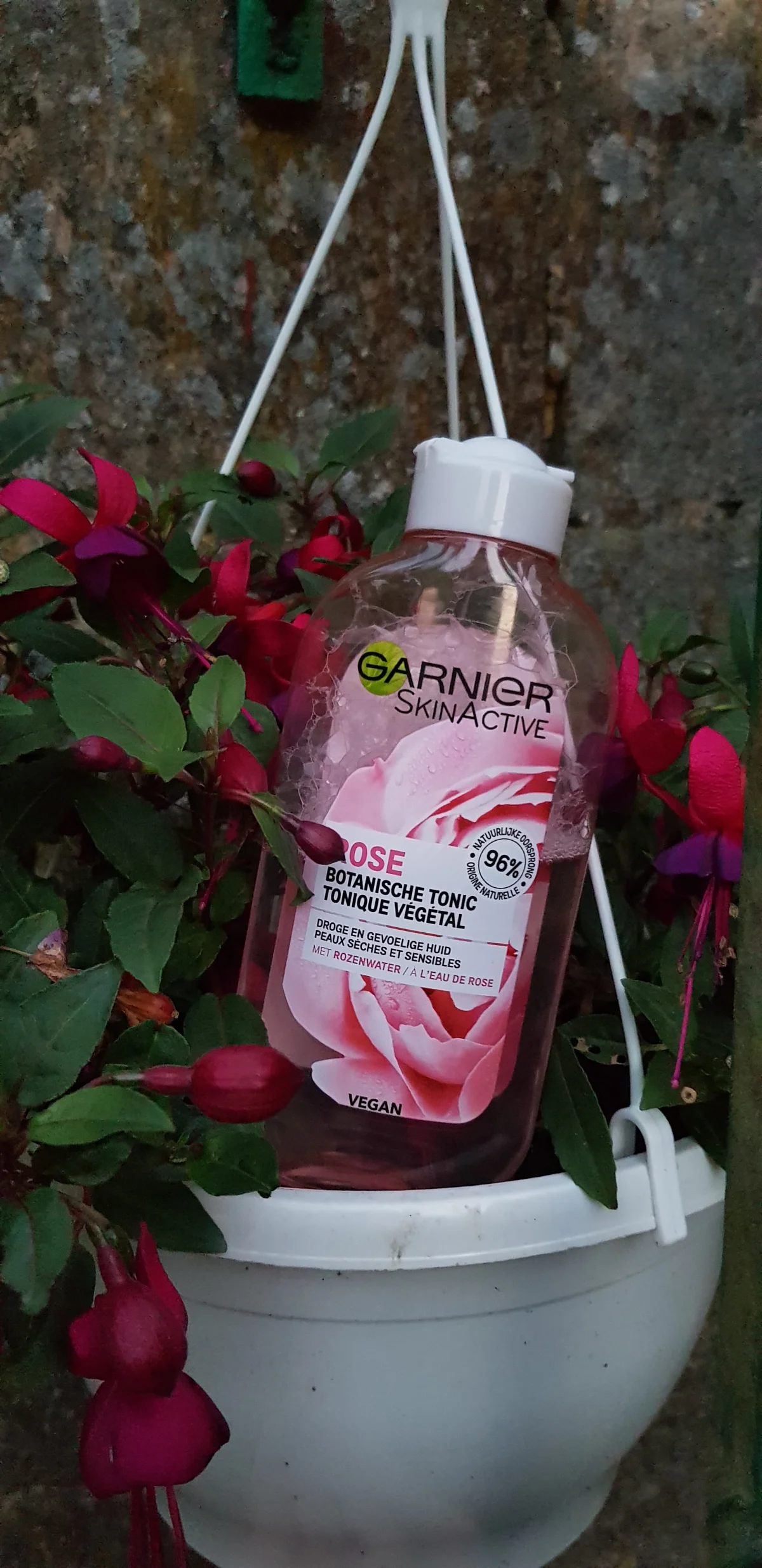 Rose Tonic - review image