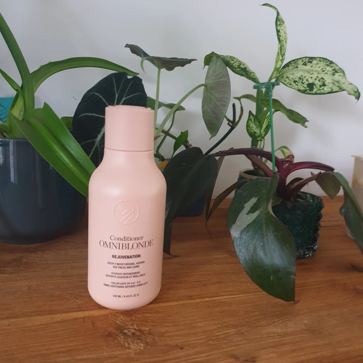 Rejuvenation Conditioner - review image