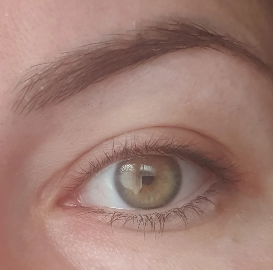 Lash sensational mascara - before review image