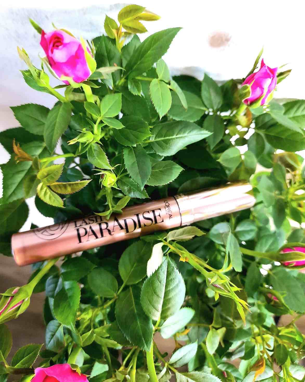 L'Oreal Paris Lash Paradise Mascara Duo Set - before review image