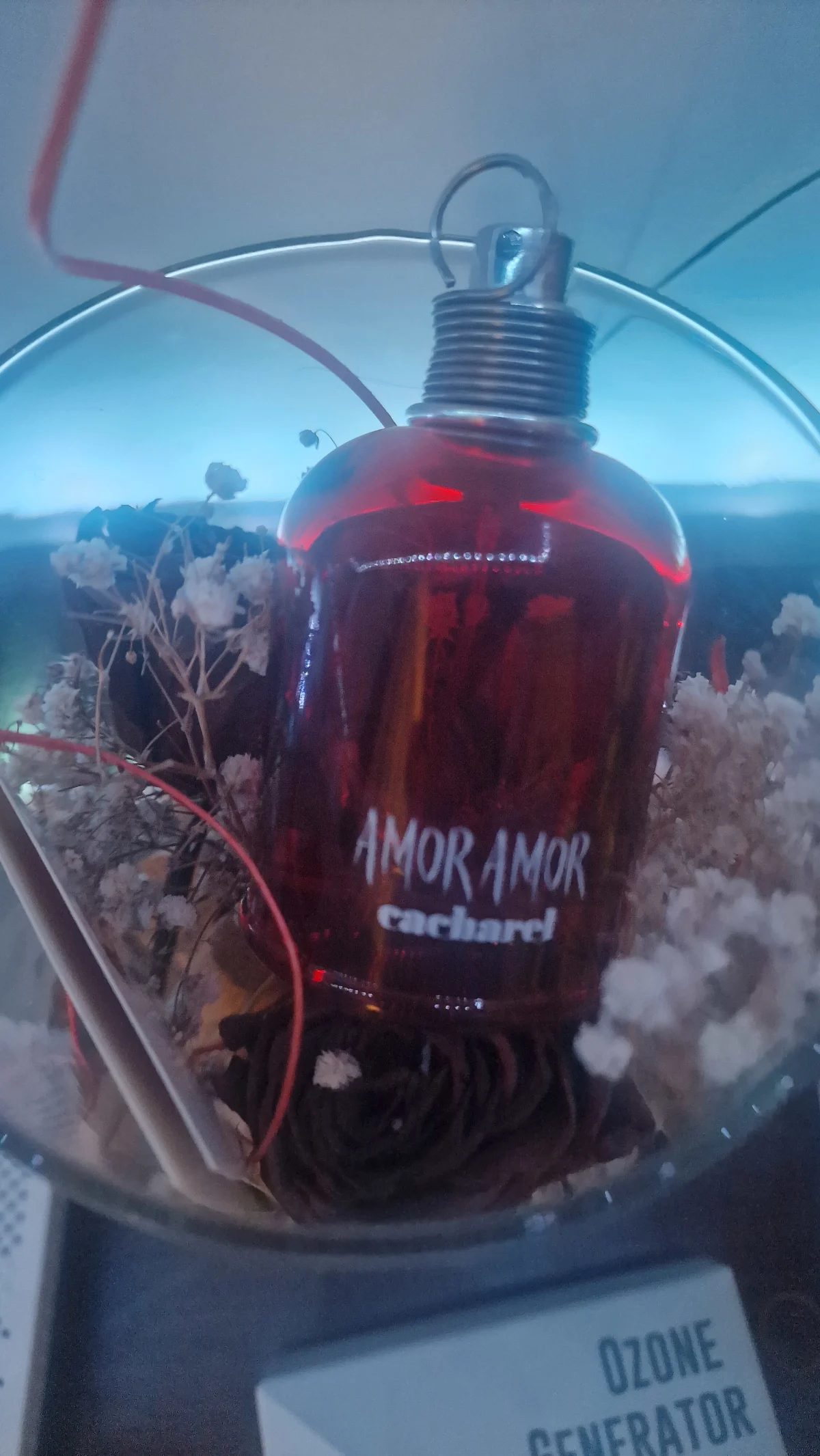 Cacharel Amor Amor Edt Spray - review image