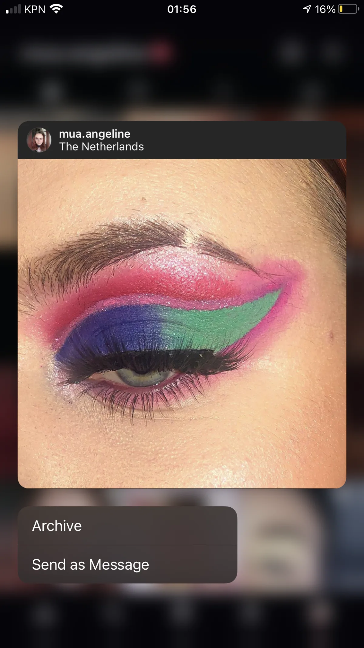 NikkieTutorials X Beauty Bay Pressed Pigment Palette - review image