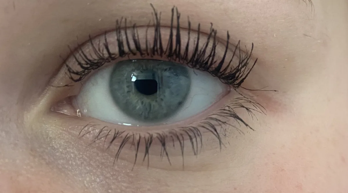 Lash sensational mascara - review image