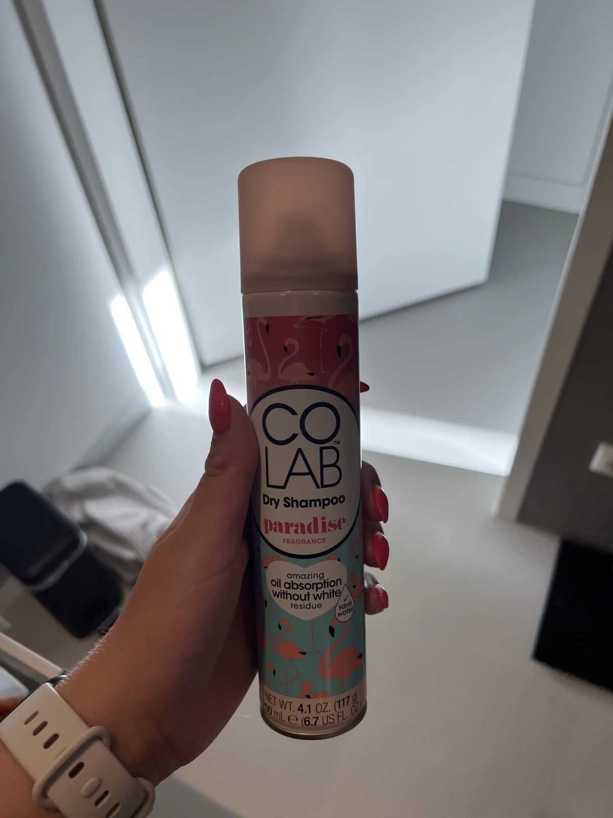 Colab Paradise - review image