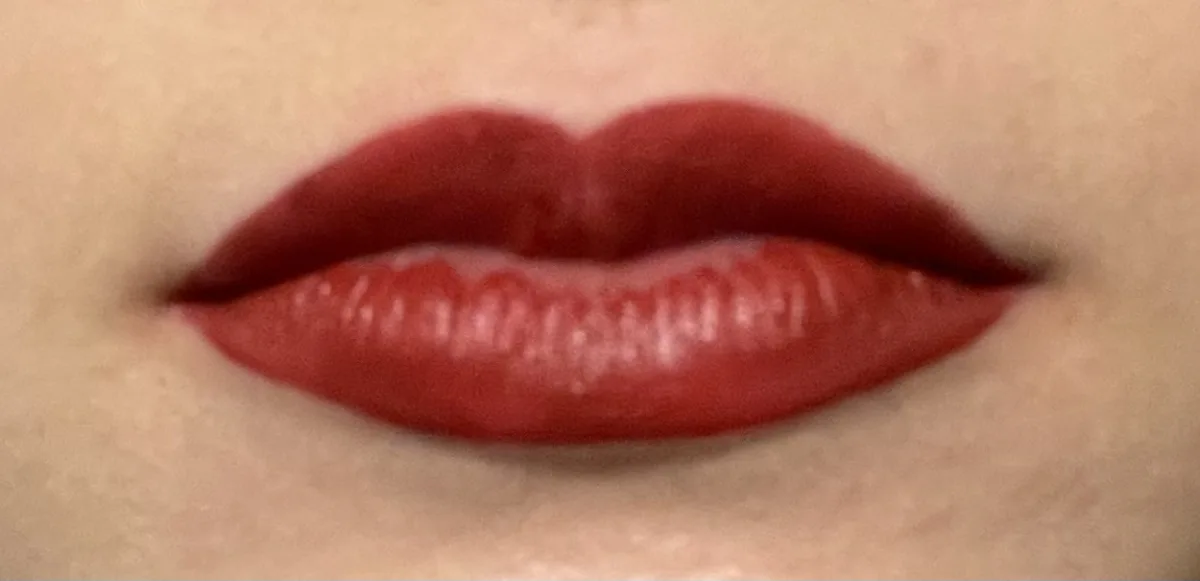 Provocalips 16hr Kissproof Lip Colour - review image