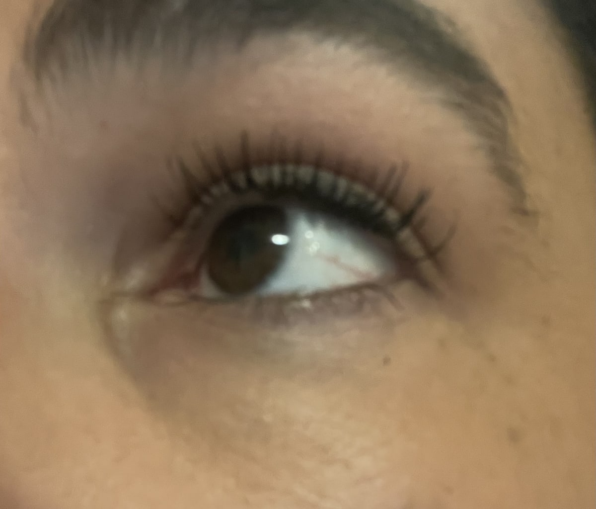 False Lash Epic Waterproof Mascara - review image