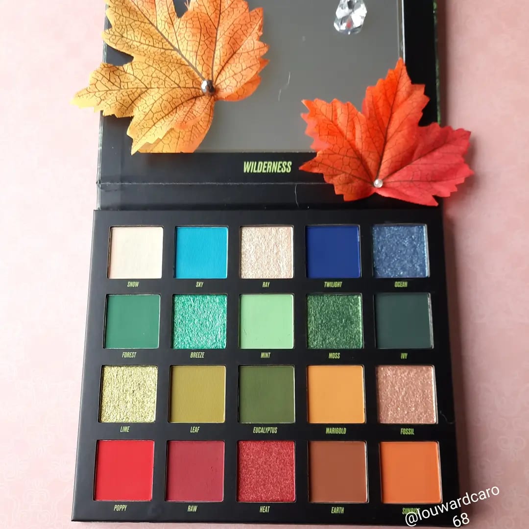 Wilderness Palette - review image