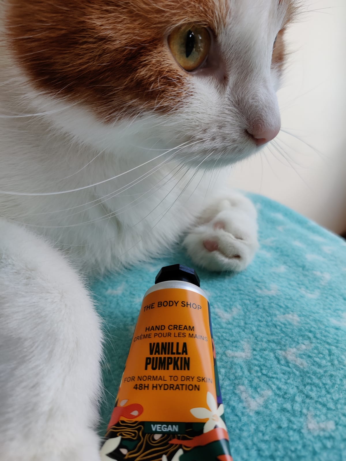 Vanilla Pumpkin Hand Cream - review image