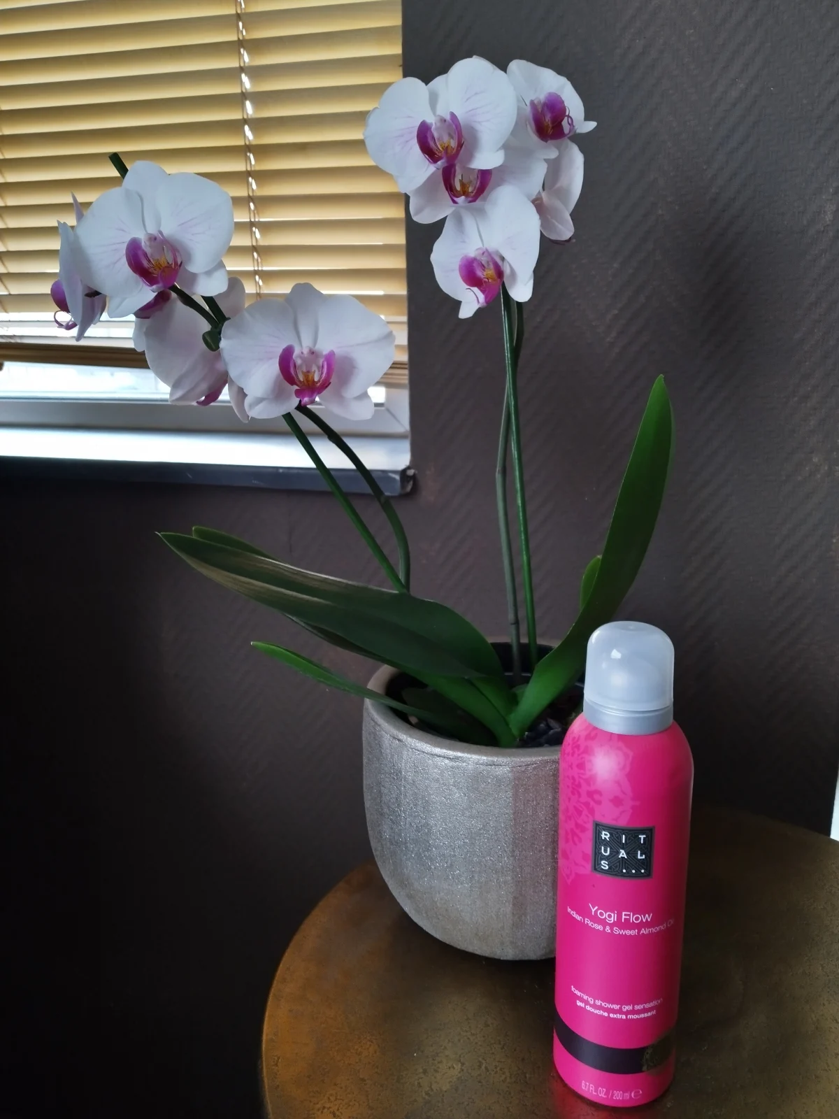 Yogi Flow Foaming Shower Gel Sensation - review image