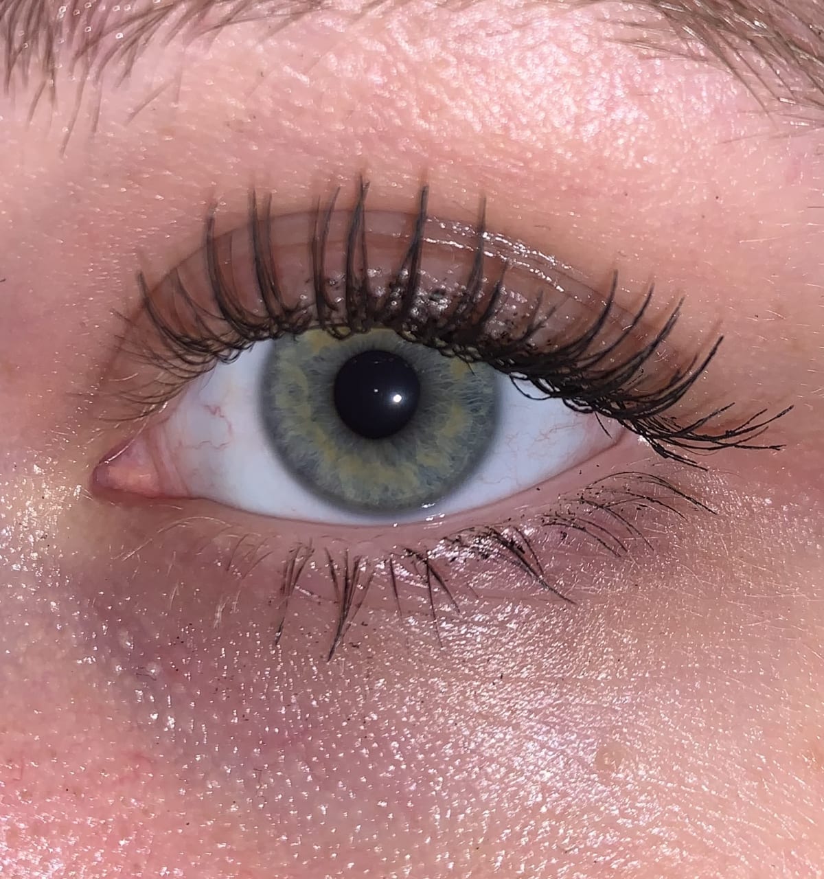 Lash sensational mascara - review image