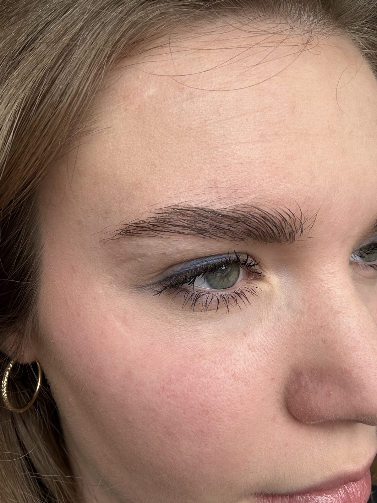 Anastasia Beverly Hills Brow Freeze® Gel - before review image