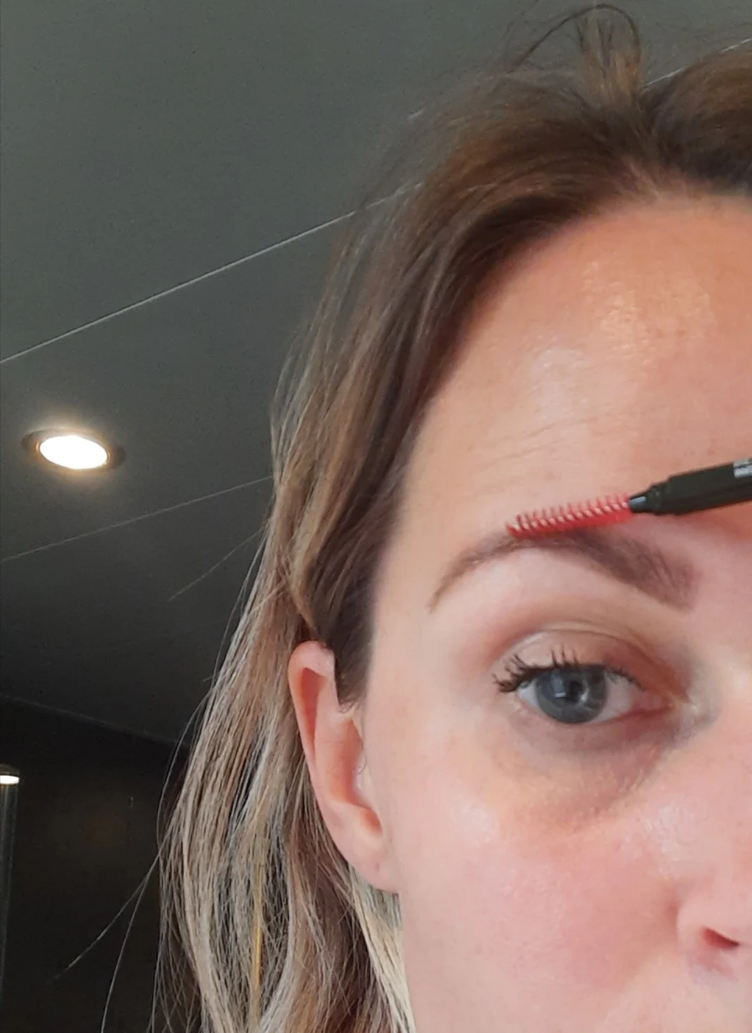 Brow Pro Microdefiner - review image