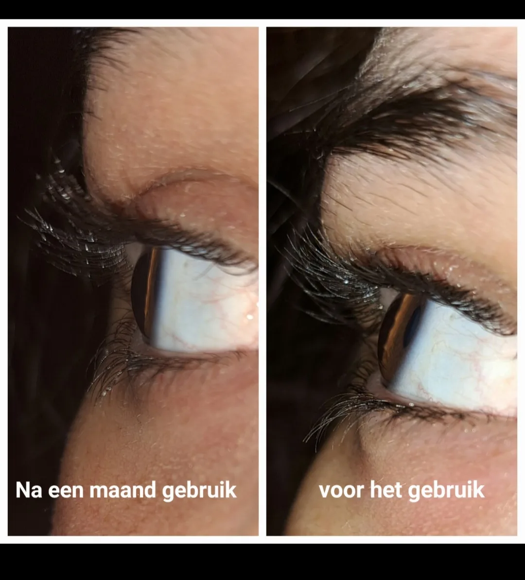 Serum voor Wimpers en Wenkbrauwen Max Factor False Lash Effect (13 ml) - review image