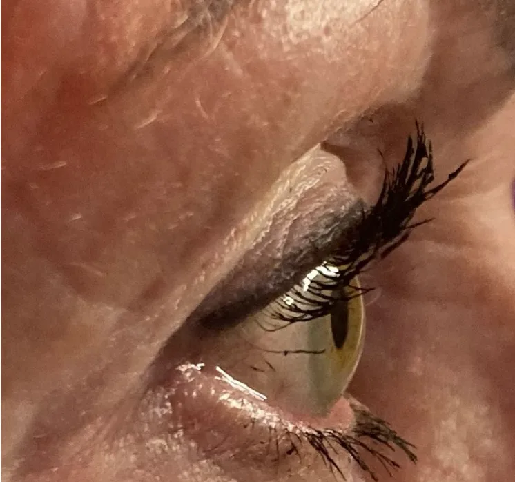 L'Oréal Paris – Telescopic Lift Mascara – Lift Extra Black - Mascara voor lange, gelifte wimpers en volume – 9,9ML - review image