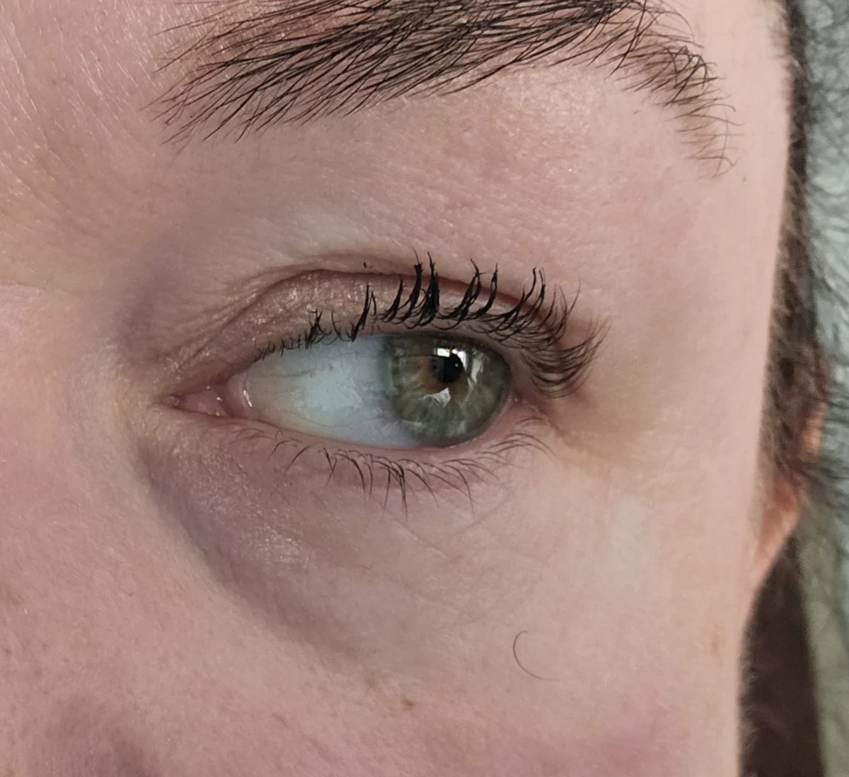 L'Oréal Paris Telescopic Mascara 8ml - review image
