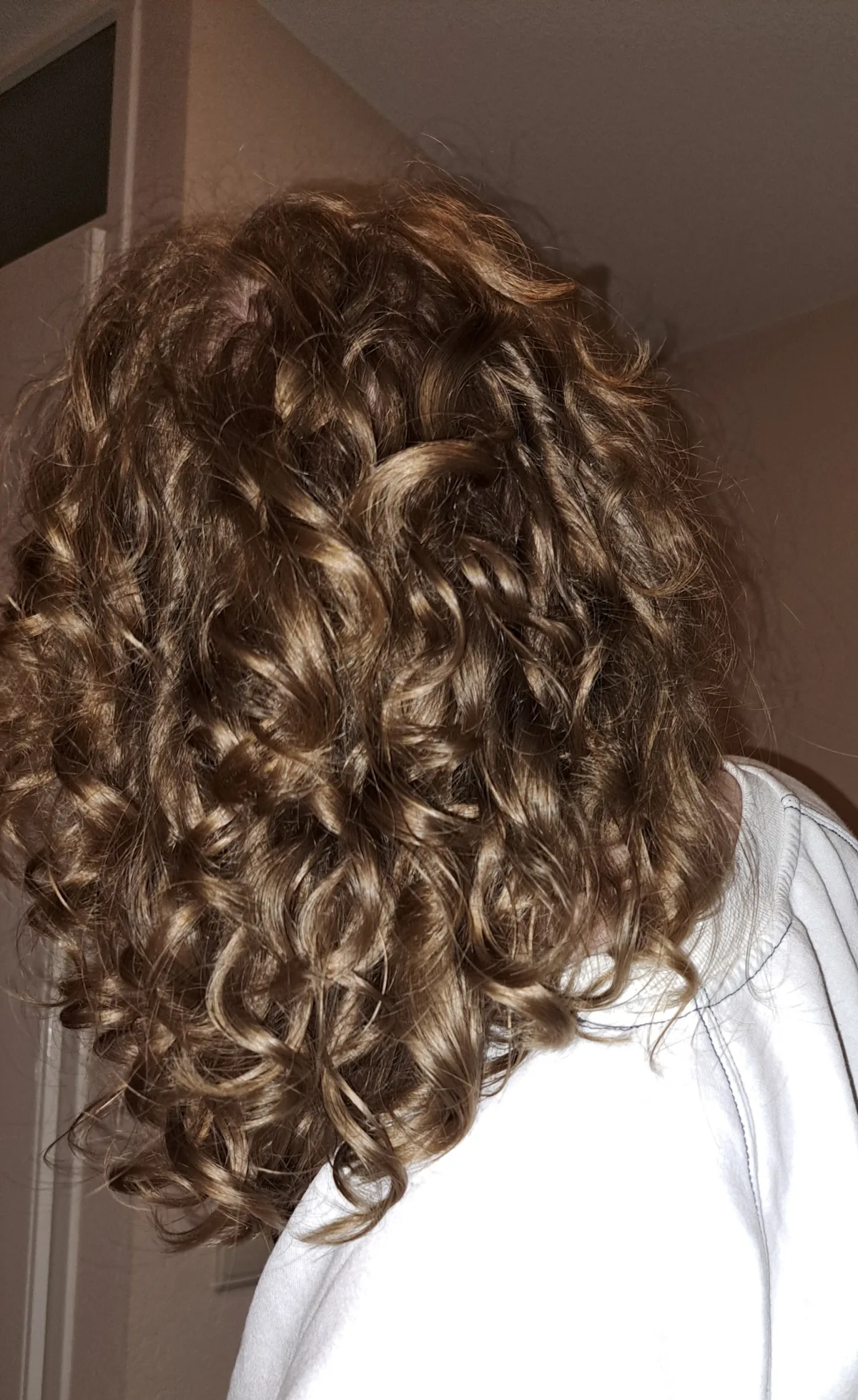 Power Curls Clarifying Shampoo - review image