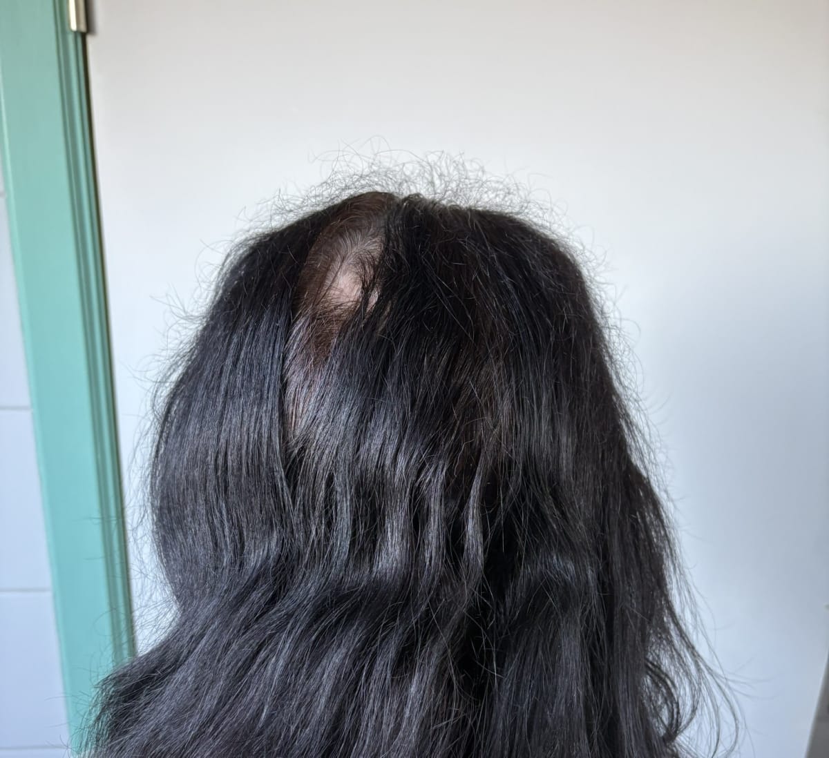 L’Oréal Paris Elseve Fiber Booster Shampoo - before review image