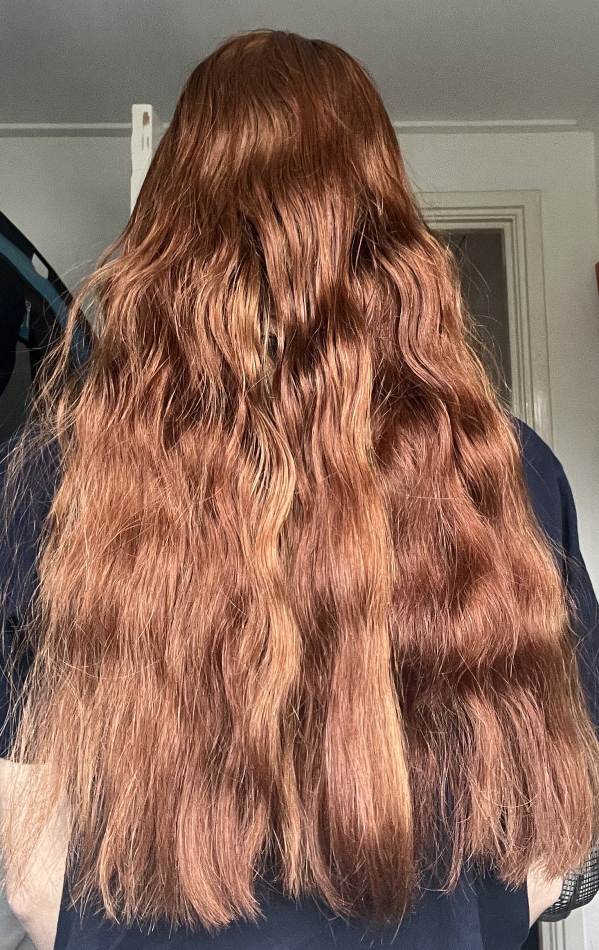 Frizz Control Shampoo - before review image