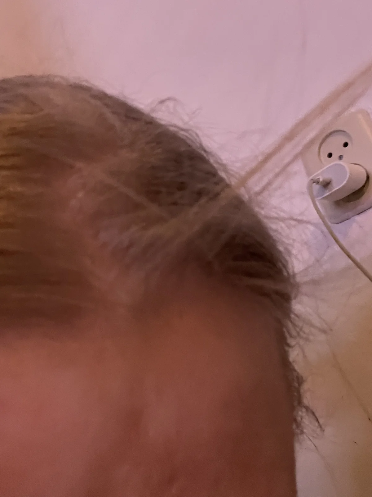 ELVIVE FIBER BOOSTER CONDITIONER - before review image