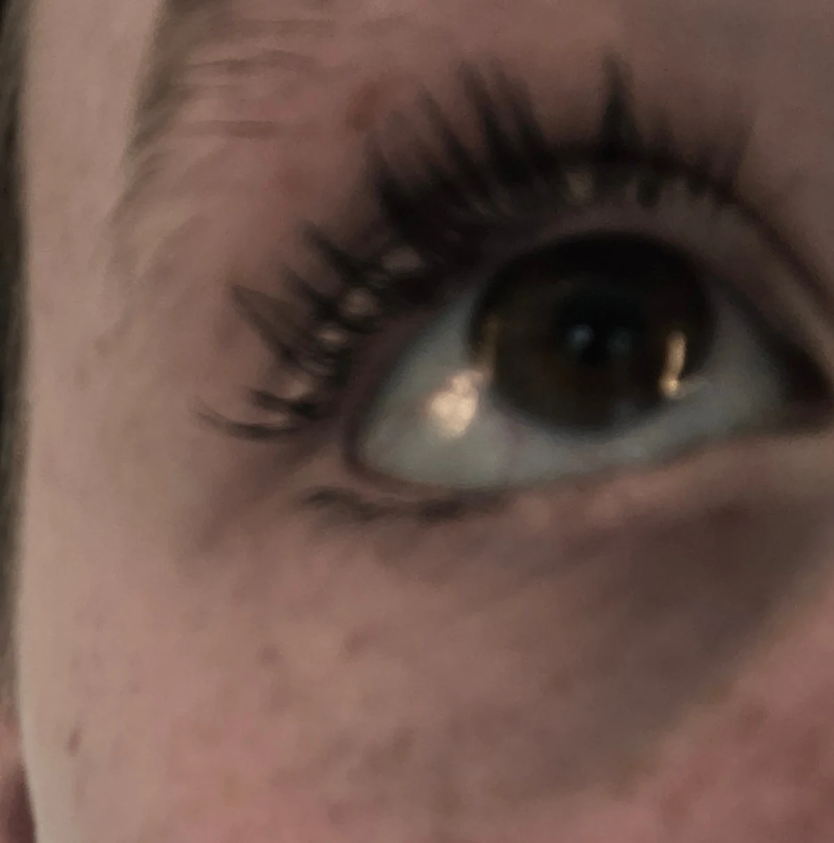 L'Oréal Paris Telescopic Mascara 8ml - review image