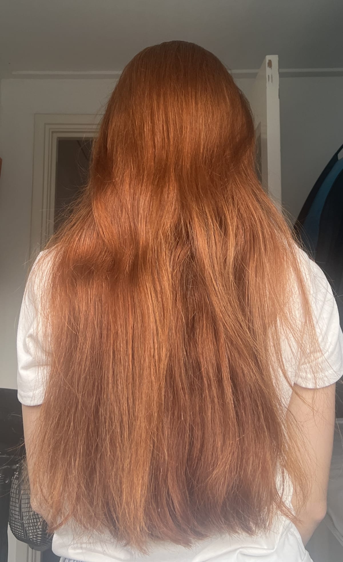 Frizz Control Shampoo - review image