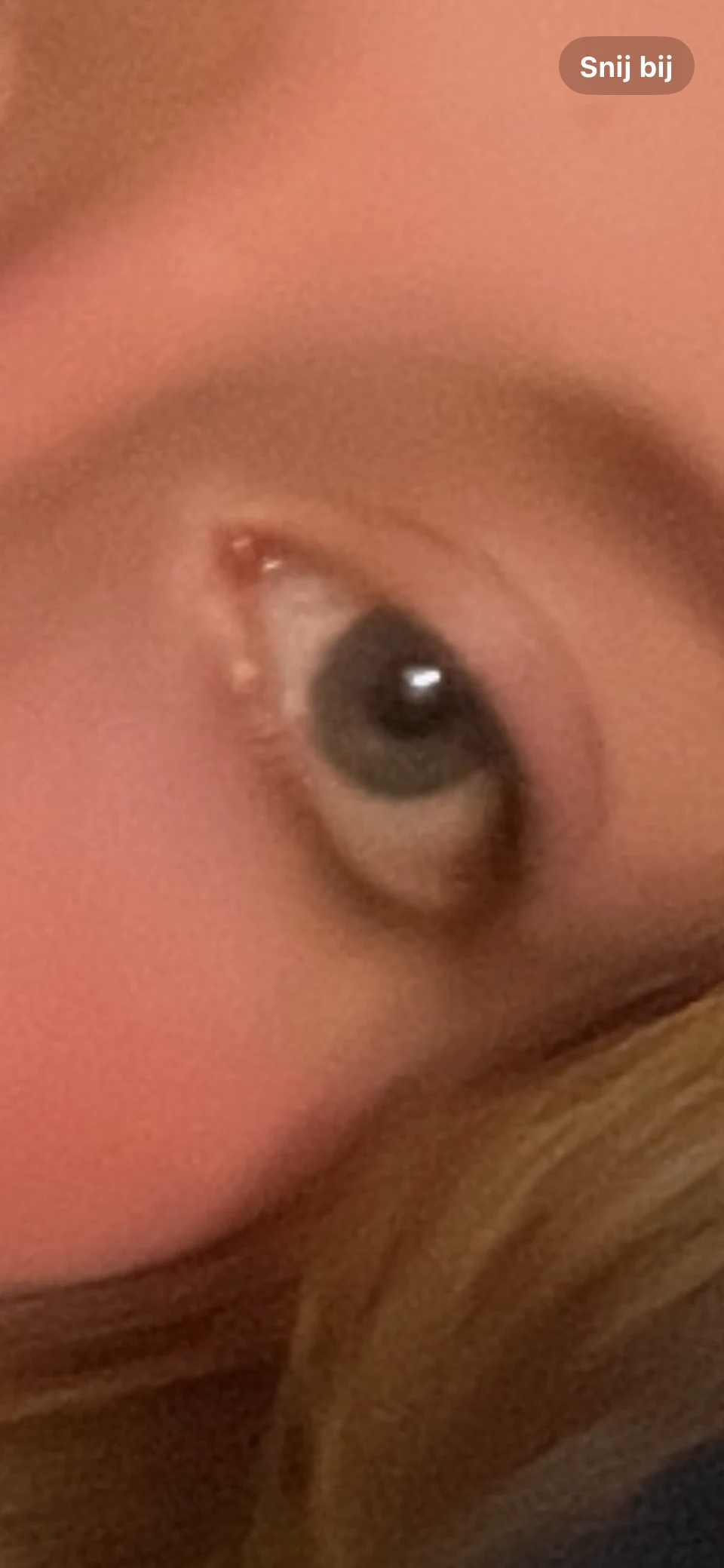 Lash Sensational Sky High Mascara Burgundy Haze - before review image