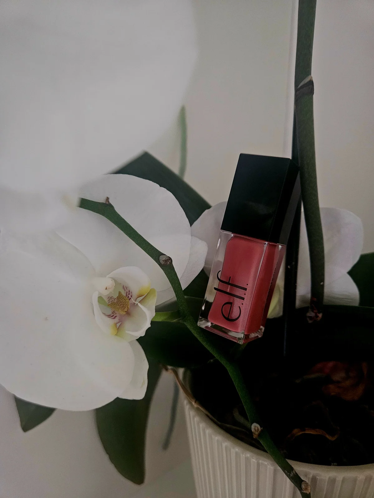 e.l.f. Cosmetics Glow Reviver Lip Oil - before review image