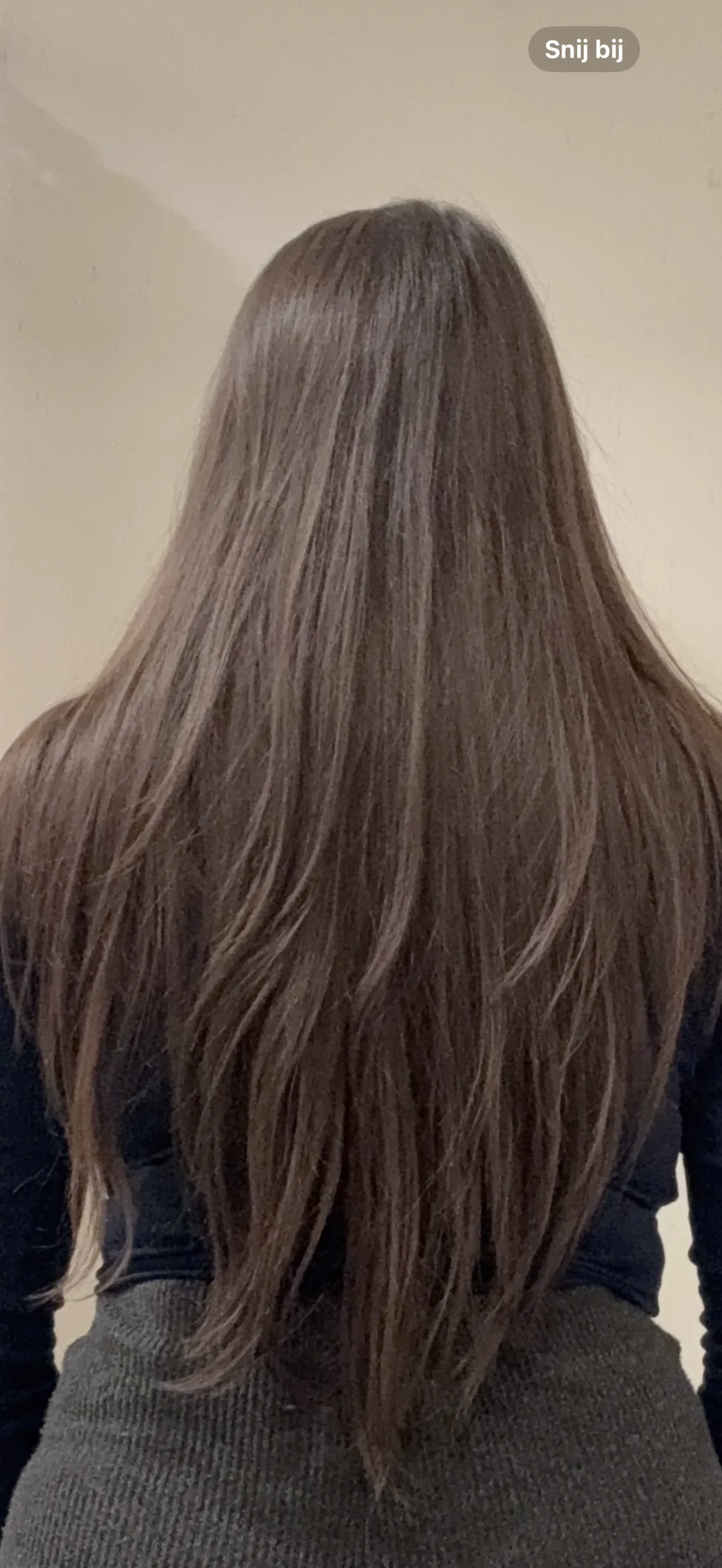 L’Oréal Paris Elseve Fiber Booster Serum - before review image