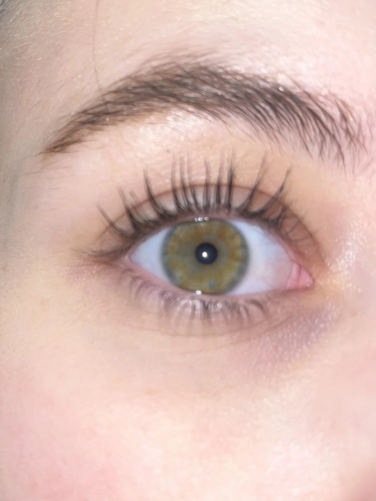 L'Oreal Paris Telescopic Mascara zwart - 2 stuk - review image