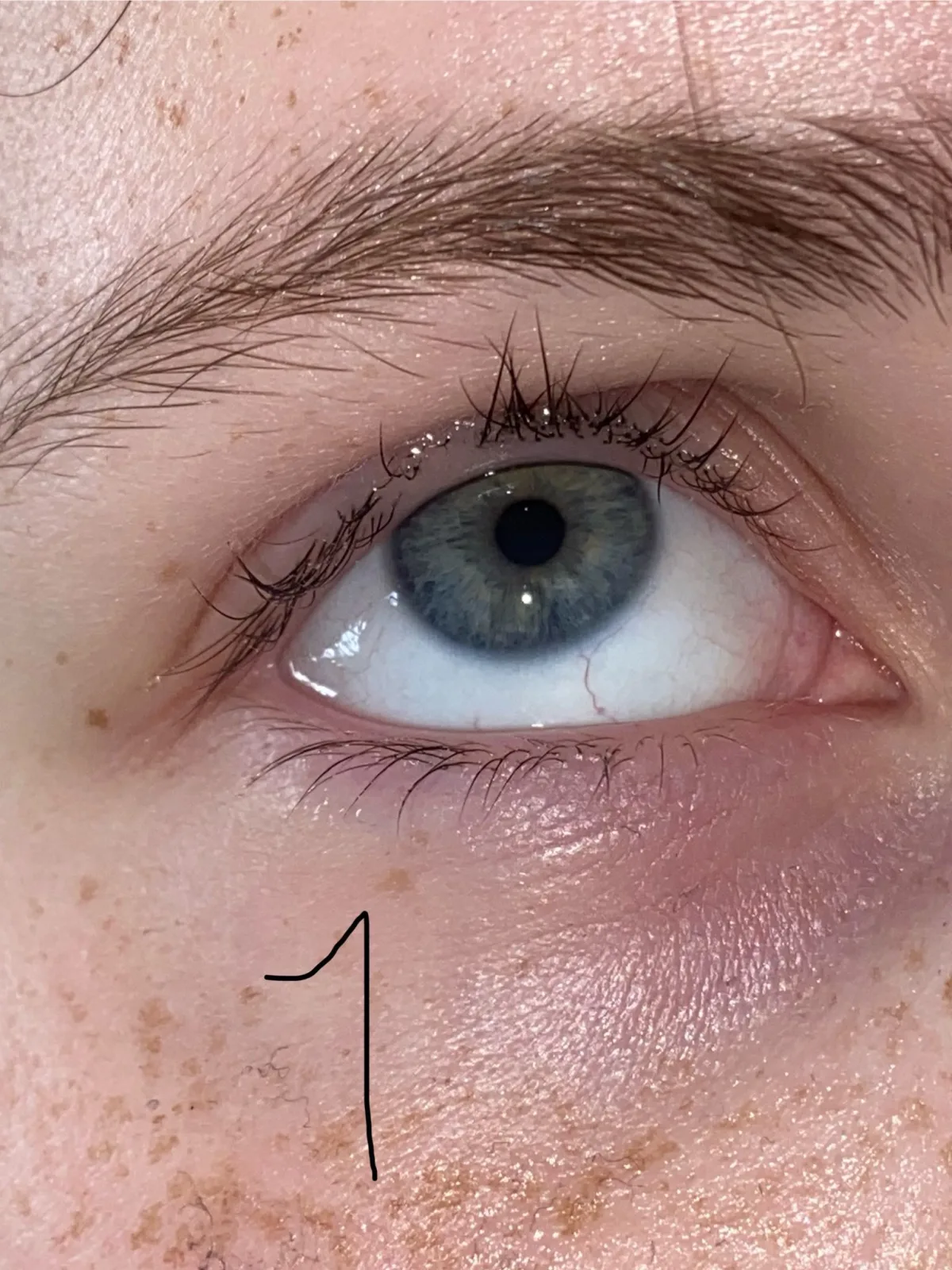 Serum voor Wimpers en Wenkbrauwen Nanolash Eyelash (3 ml) - before review image