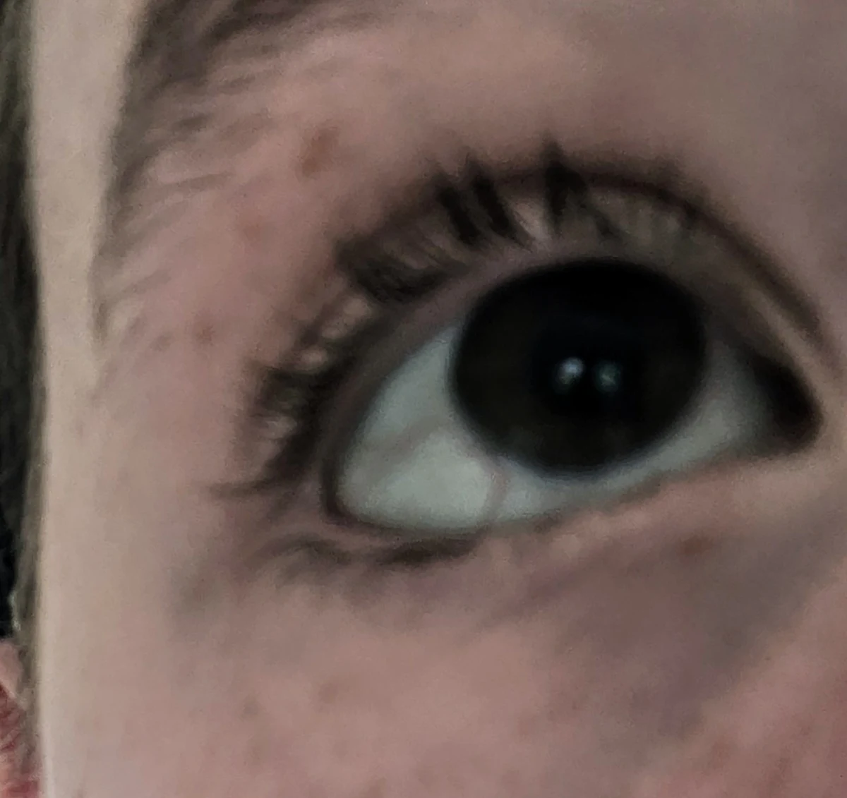 L'Oréal Paris Telescopic Mascara 8ml - before review image