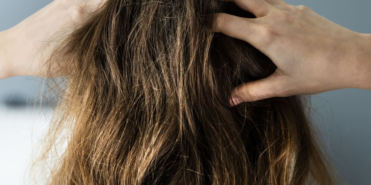 7x products for dry hair