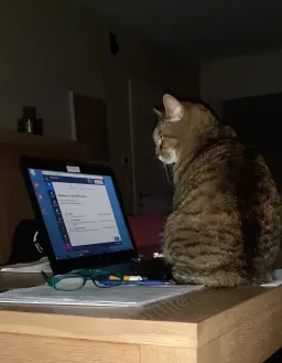 poekie