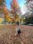 andreea_i