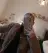 jill_weareeves