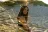 tamara.9