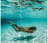 aline_smeets