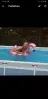 alissa.vermeren