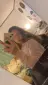 fien_ve