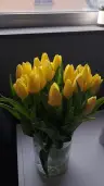 verloomilena