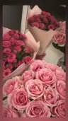 66aleksandra_t
