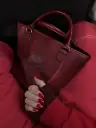shayshay01