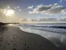 olivia_19