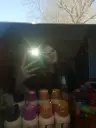 tamara_vavo20