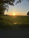 lauravdlinden4