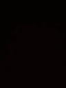 ienas000
