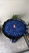 jkhdcjhjvi